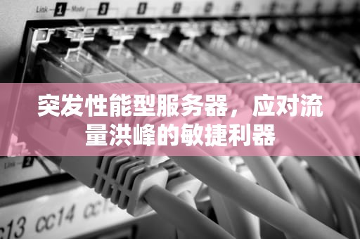 突发性能型服务器，应对流量洪峰的敏捷利器