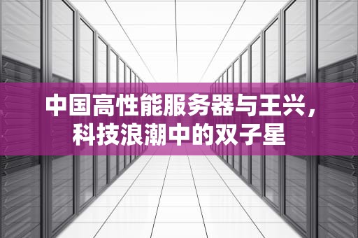 中国高性能服务器与王兴，科技浪潮中的双子星