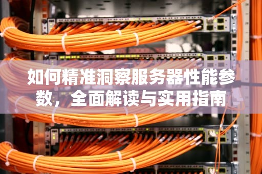如何精准洞察服务器性能参数，全面解读与实用指南