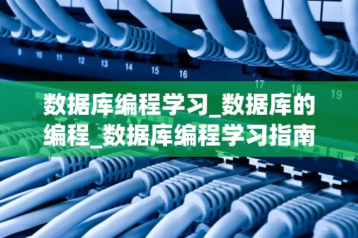 数据库编程学习_数据库的编程_数据库编程学习指南