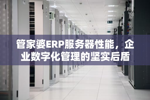 管家婆ERP服务器性能，企业数字化管理的坚实后盾