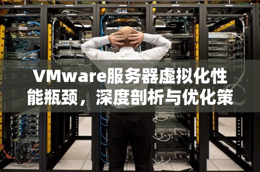 VMware服务器虚拟化性能瓶颈，深度剖析与优化策略