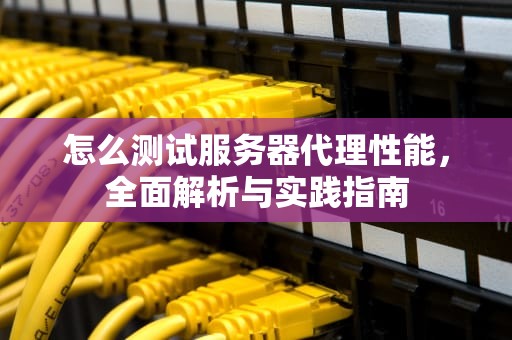 怎么测试服务器代理性能，全面解析与实践指南