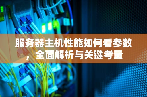 服务器主机性能如何看参数，全面解析与关键考量