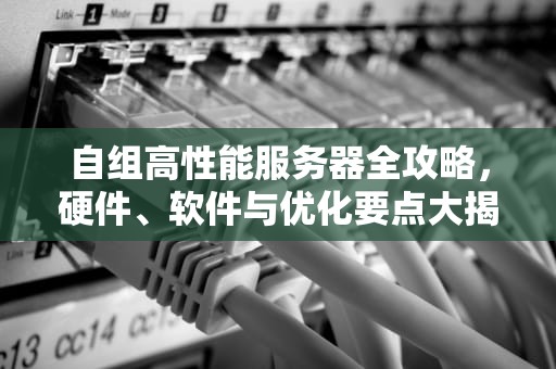 自组高性能服务器全攻略，硬件、软件与优化要点大揭秘