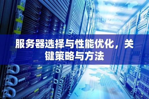 服务器选择与性能优化，关键策略与方法
