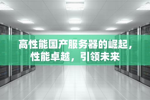 高性能国产服务器的崛起，性能卓越，引领未来