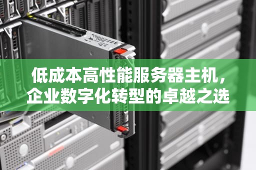 低成本高性能服务器主机，企业数字化转型的卓越之选