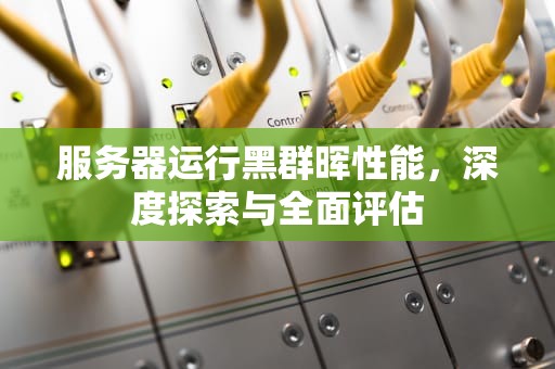 服务器运行黑群晖性能，深度探索与全面评估