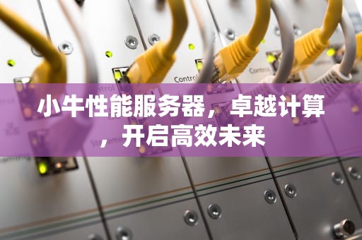 小牛性能服务器，卓越计算，开启高效未来