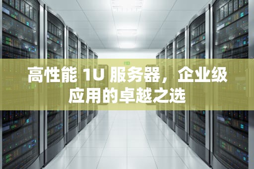 高性能 1U 服务器，企业级应用的卓越之选