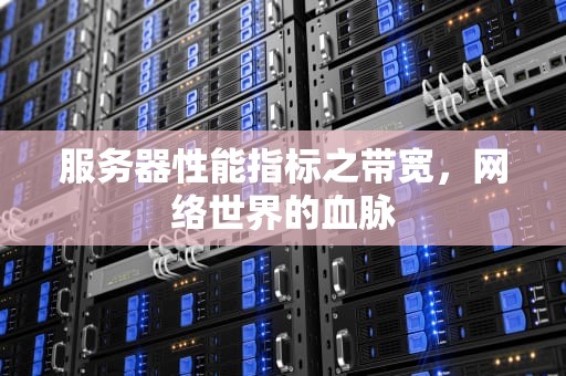 服务器性能指标之带宽，网络世界的血脉