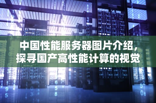 中国性能服务器图片介绍，探寻国产高性能计算的视觉密码