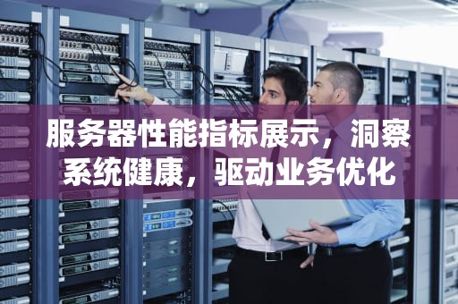 服务器性能指标展示，洞察系统健康，驱动业务优化