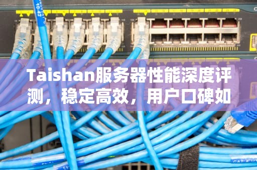 Taishan服务器性能深度评测，稳定高效，用户口碑如何？