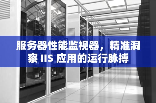 服务器性能监视器，精准洞察 IIS 应用的运行脉搏