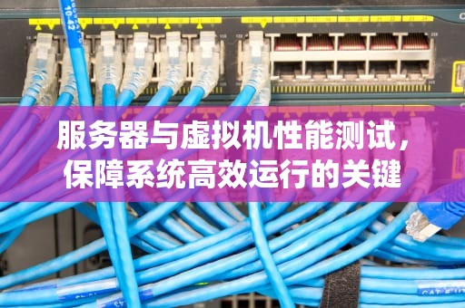 服务器与虚拟机性能测试，保障系统高效运行的关键