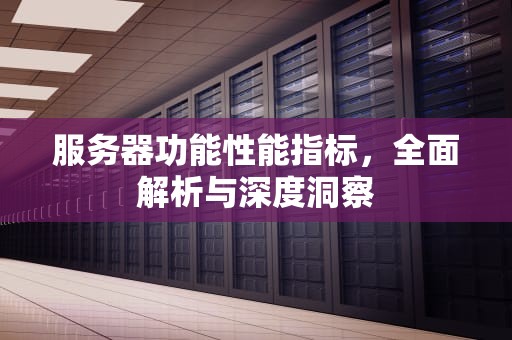 服务器功能性能指标，全面解析与深度洞察