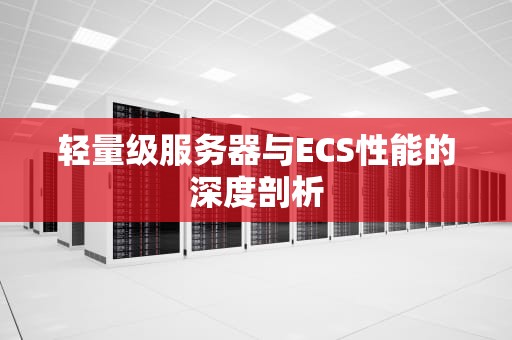 轻量级服务器与ECS性能的深度剖析