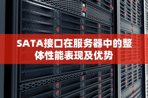 SATA接口在服务器中的整体性能表现及优势