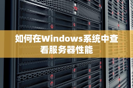 如何在Windows系统中查看服务器性能