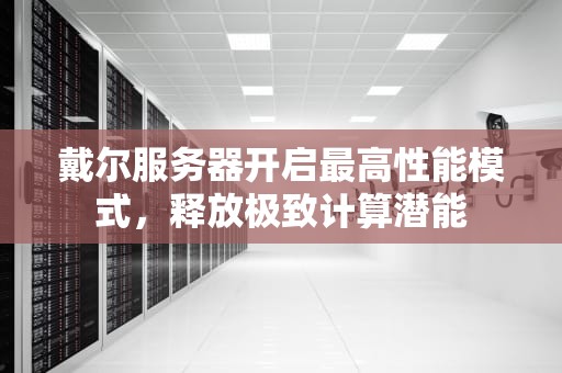 戴尔服务器开启最高性能模式，释放极致计算潜能
