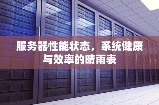 服务器性能状态，系统健康与效率的晴雨表