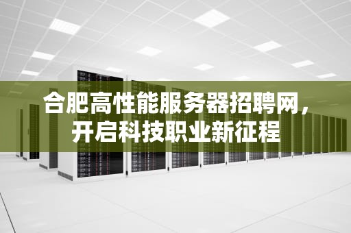 合肥高性能服务器招聘网，开启科技职业新征程