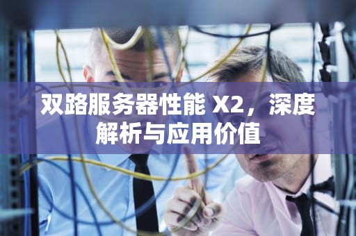 双路服务器性能 X2，深度解析与应用价值