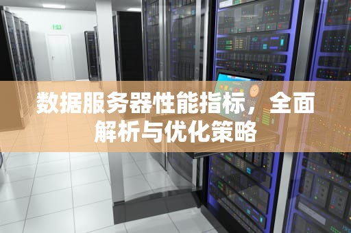 数据服务器性能指标，全面解析与优化策略