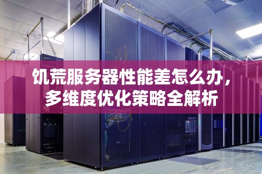 饥荒服务器性能差怎么办，多维度优化策略全解析