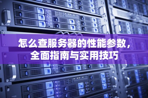 怎么查服务器的性能参数，全面指南与实用技巧