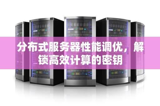 分布式服务器性能调优，解锁高效计算的密钥