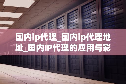 国内ip代理_国内ip代理地址_国内IP代理的应用与影响