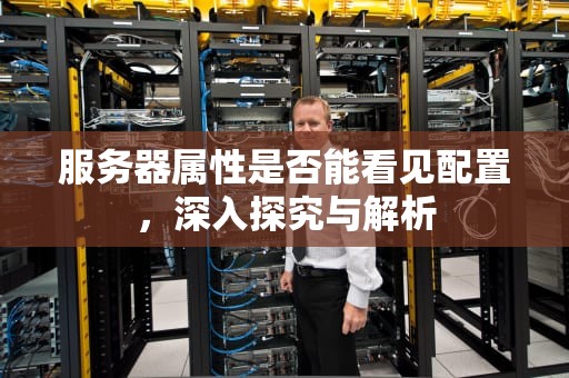 服务器属性是否能看见配置，深入探究与解析