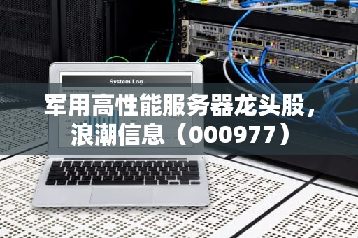 军用高性能服务器龙头股，浪潮信息（000977）