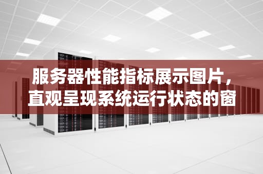 服务器性能指标展示图片，直观呈现系统运行状态的窗口