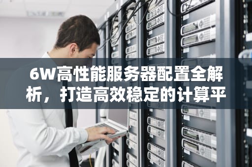 6W高性能服务器配置全解析，打造高效稳定的计算平台