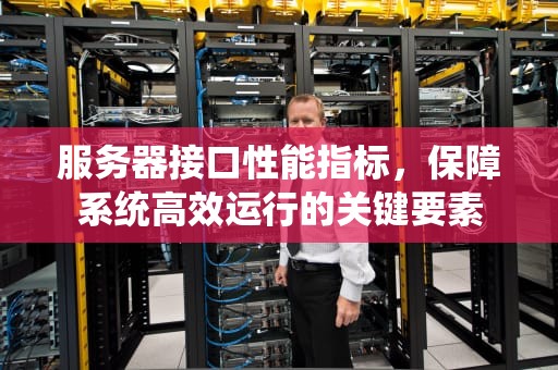 服务器接口性能指标，保障系统高效运行的关键要素