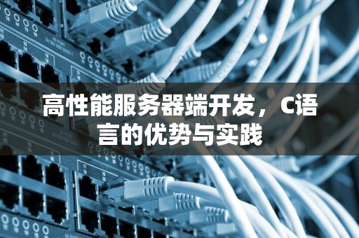 高性能服务器端开发，C语言的优势与实践