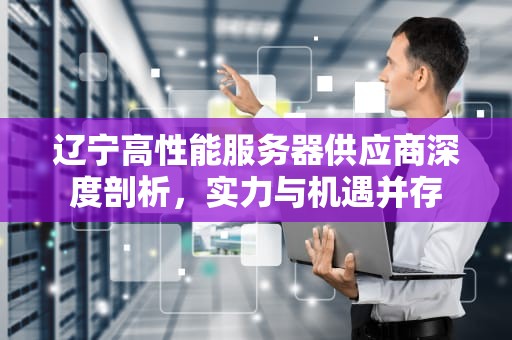辽宁高性能服务器供应商深度剖析，实力与机遇并存