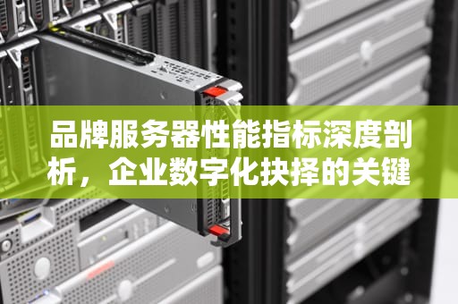 品牌服务器性能指标深度剖析，企业数字化抉择的关键考量