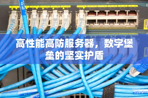 高性能高防服务器，数字堡垒的坚实护盾