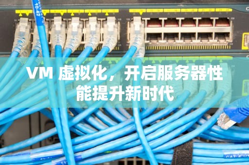 VM 虚拟化，开启服务器性能提升新时代
