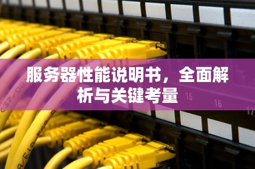 服务器性能说明书，全面解析与关键考量