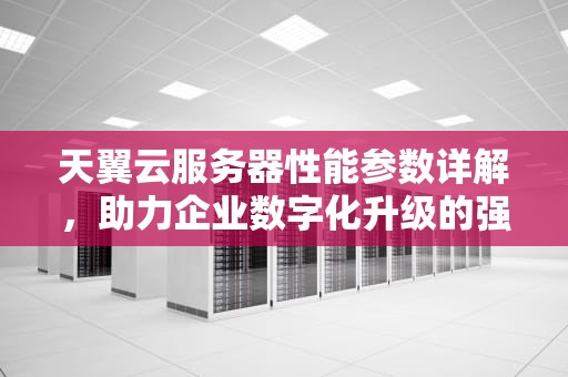 天翼云服务器性能参数详解，助力企业数字化升级的强劲动力