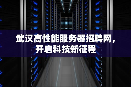 武汉高性能服务器招聘网，开启科技新征程