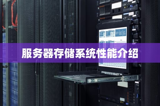 服务器存储系统性能介绍