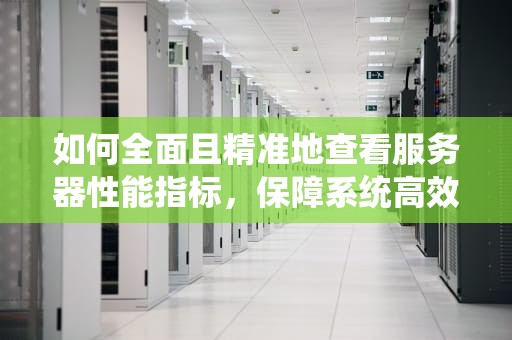 如何全面且精准地查看服务器性能指标，保障系统高效运行的关键