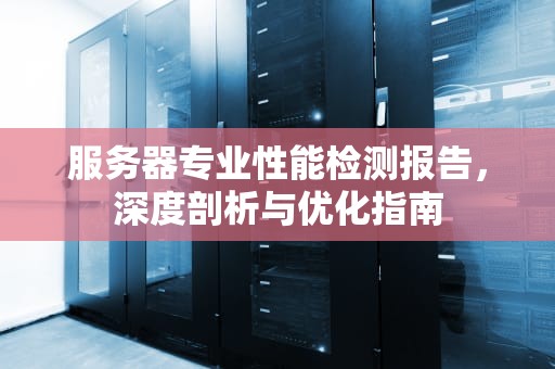 服务器专业性能检测报告，深度剖析与优化指南